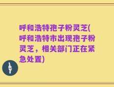 呼和浩特孢子粉灵芝(呼和浩特市出现孢子粉灵芝，相关部门正在紧急处置)