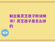 制古集灵芝孢子粉说明书？灵芝孢子是怎么样的