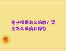 孢子粉是怎么采收？灵芝怎么采摘和保存