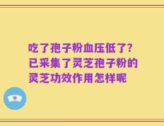 吃了孢子粉血压低了？已采集了灵芝孢子粉的灵芝功效作用怎样呢