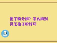 孢子粉分辨？怎么辨别灵芝孢子粉好坏