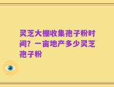 灵芝大棚收集孢子粉时间？一亩地产多少灵芝孢子粉