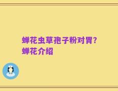 蝉花虫草孢子粉对胃？蝉花介绍