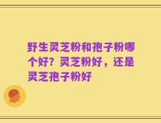 野生灵芝粉和孢子粉哪个好？灵芝粉好，还是灵芝孢子粉好