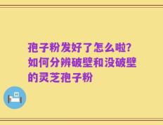 孢子粉发好了怎么啦？如何分辨破壁和没破壁的灵芝孢子粉