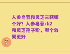 人参皂苷和灵芝三萜哪个好？人参皂苷rh2和灵芝孢子粉，哪个效果更好