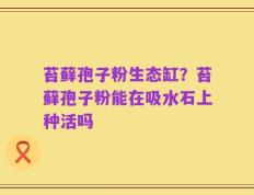 苔藓孢子粉生态缸？苔藓孢子粉能在吸水石上种活吗