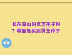 长在深山的灵芝孢子粉？哪里能买到灵芝种子