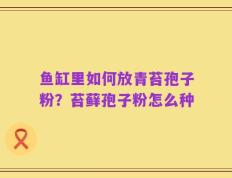 鱼缸里如何放青苔孢子粉？苔藓孢子粉怎么种