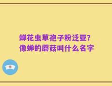 蝉花虫草孢子粉泛亚？像蝉的蘑菇叫什么名字