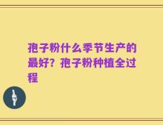 孢子粉什么季节生产的最好？孢子粉种植全过程