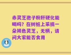 赤灵芝孢子粉肝硬化能喝吗？在树桩上采摘一朵褐色灵芝，无柄，请问大家能否食用