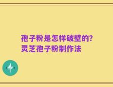 孢子粉是怎样破壁的？灵芝孢子粉制作法