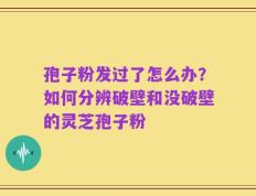 孢子粉发过了怎么办？如何分辨破壁和没破壁的灵芝孢子粉
