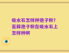 吸水石怎样种孢子粉？苔藓孢子粉在吸水石上怎样种啊
