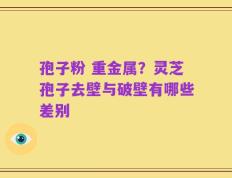 孢子粉 重金属？灵芝孢子去壁与破壁有哪些差别
