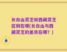 长白山灵芝和西藏灵芝区别在哪(长白山与西藏灵芝的差异在哪？)
