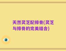 天然灵芝配排骨(灵芝与排骨的完美组合)