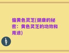 偏黄色灵芝(健康的秘密：黄色灵芝的功效和用途)