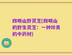 四明山野灵芝(四明山的野生灵芝：一种珍贵的中药材)