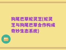 狗尾巴草蛇灵芝(蛇灵芝与狗尾巴草合作构成奇妙生态系统)