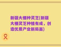 新疆大棚种灵芝(新疆大棚灵芝种植有成，创造优质产业新局面)