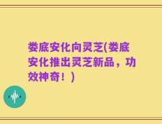 娄底安化向灵芝(娄底安化推出灵芝新品，功效神奇！)