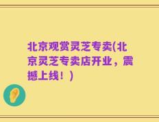 北京观赏灵芝专卖(北京灵芝专卖店开业，震撼上线！)