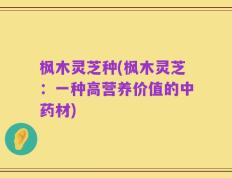 枫木灵芝种(枫木灵芝：一种高营养价值的中药材)