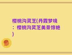 樱桃沟灵芝(丹霞梦境：樱桃沟灵芝美景惊艳)