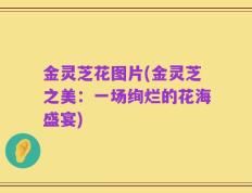 金灵芝花图片(金灵芝之美：一场绚烂的花海盛宴)