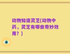 动物知道灵芝(动物中药，灵芝有哪些奇妙效用？)