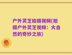 户外灵芝拍摄视频(拍摄户外灵芝视频：大自然的奇妙之旅)