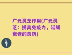 广元灵芝作用(广元灵芝：提高免疫力，延缓衰老的良药)