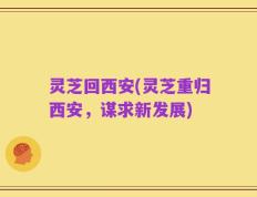 灵芝回西安(灵芝重归西安，谋求新发展)