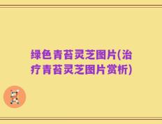 绿色青苔灵芝图片(治疗青苔灵芝图片赏析)