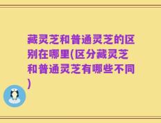 藏灵芝和普通灵芝的区别在哪里(区分藏灵芝和普通灵芝有哪些不同)