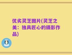 优劣灵芝图片(灵芝之美：独具匠心的摄影作品)