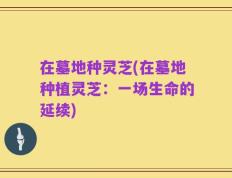 在墓地种灵芝(在墓地种植灵芝：一场生命的延续)