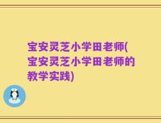 宝安灵芝小学田老师(宝安灵芝小学田老师的教学实践)