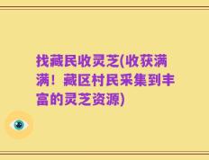 找藏民收灵芝(收获满满！藏区村民采集到丰富的灵芝资源)