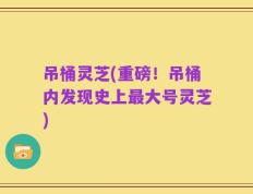 吊桶灵芝(重磅！吊桶内发现史上最大号灵芝)