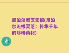尼泊尔灵芝无根(尼泊尔无根灵芝：传承千年的珍稀药材)