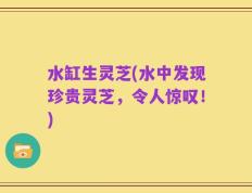 水缸生灵芝(水中发现珍贵灵芝，令人惊叹！)