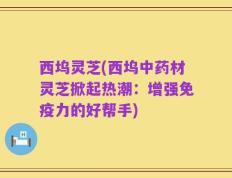西坞灵芝(西坞中药材灵芝掀起热潮：增强免疫力的好帮手)