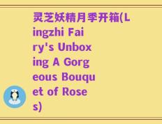 灵芝妖精月季开箱(Lingzhi Fairy's Unboxing A Gorgeous Bouquet of Roses)