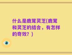 什么是鹿茸灵芝(鹿茸和灵芝的结合，有怎样的奇效？)