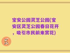 宝安公园灵芝公园(宝安区灵芝公园春日花开，吸引市民前来赏花)