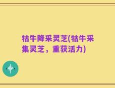 牯牛降采灵芝(牯牛采集灵芝，重获活力)