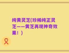纯黄灵芝(珍稀纯正灵芝——黄芝再现神奇效果！)